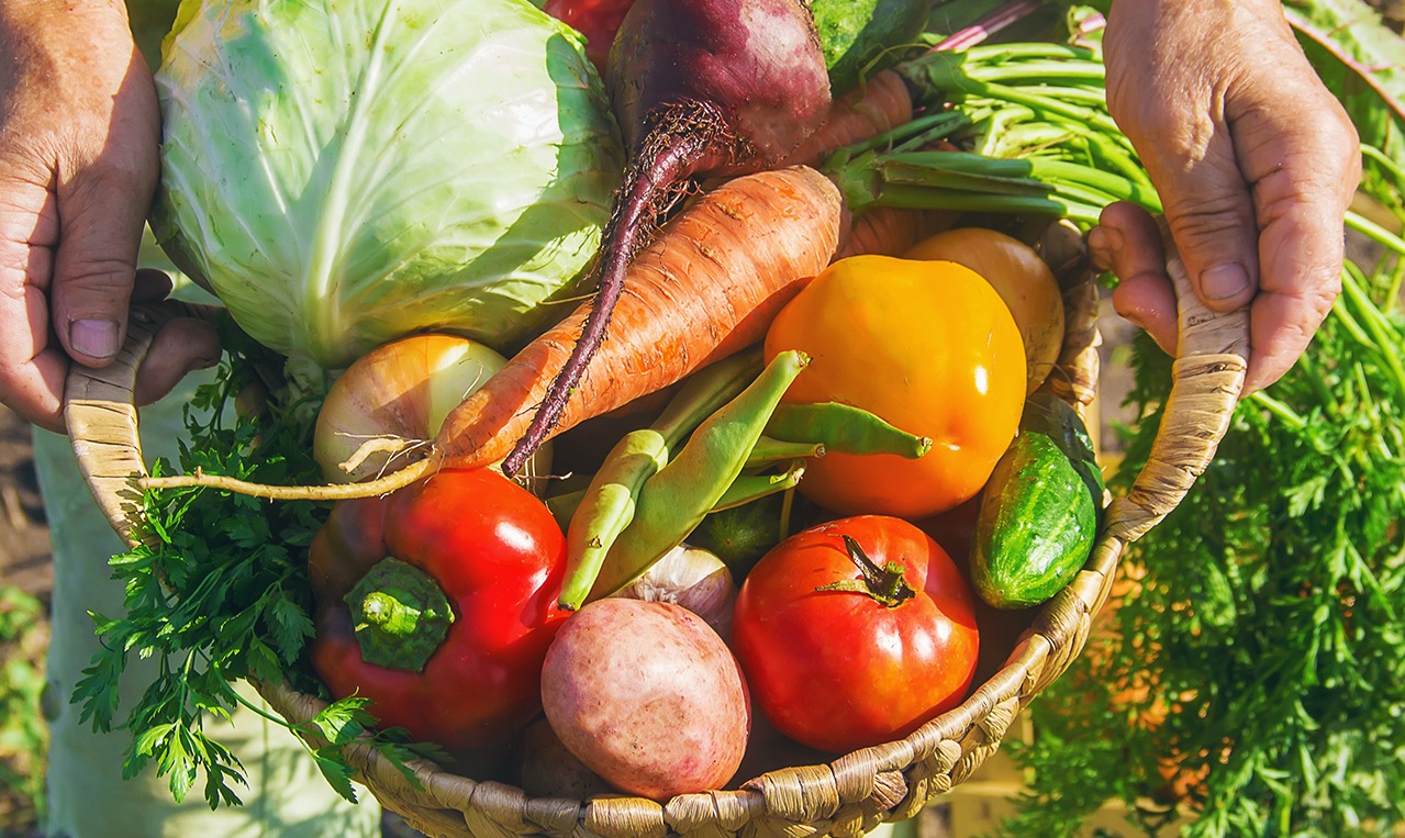organic vegetables online chennai