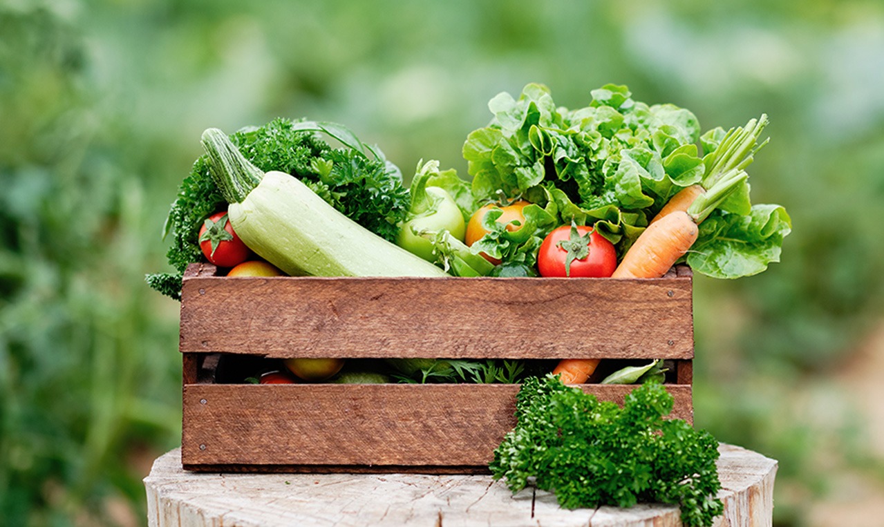 organic vegetables online chennai Buy Organic Veggies Online Chennai organic vegetables online