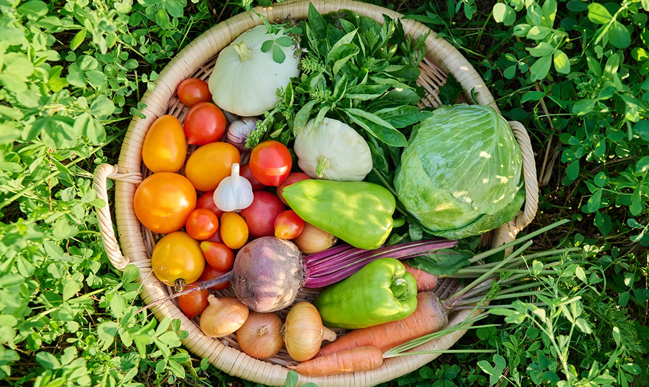 organic vegetables online chennai Buy Organic Veggies Online Chennai organic vegetables online chennai